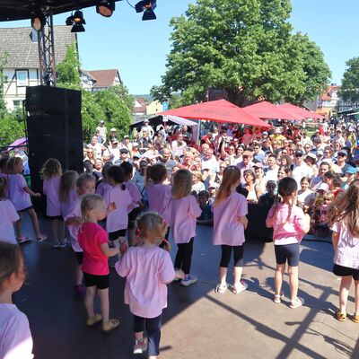 Bild vergr&ouml;&szlig;ern: Dorftage 2026