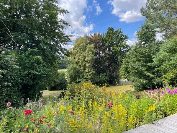 Bild vergr&ouml;&szlig;ern: Naturnaher Vorgarten von Anke Bostelmann