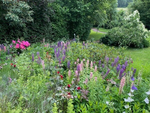Bild vergr&ouml;&szlig;ern: Naturnaher Vorgarten von Anke Bostelmann